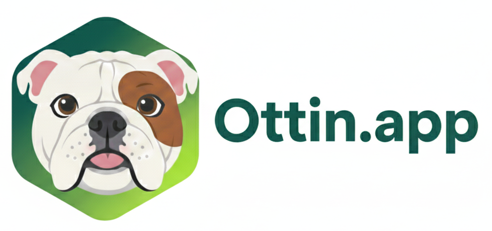 Ottin - Una nueva forma de conectar